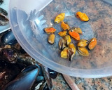 Foto del paso 14 de la receta: Sopa de mariscos a los tres caldos e infusionada con azafrán