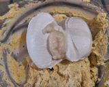 Húsvéti sajt 🧀tekercs 🐰🥚🐰főtt sonkával recept fázis 9 fotója