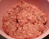 Foto del paso 2 de la receta: Hanburger y co. + co, co, co y nia