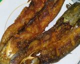 Foto langkah ke 2 dari resep Lele goreng.