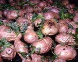 Foto del paso 5 de la receta: Papines en perejil al horno