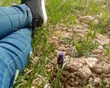 عکس مرحله 1 از دستور جوجه کباب 13بدر