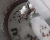 Foto del paso 3 de la receta: Budín de chocolate Nesquik
