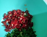 Foto langkah ke 4 dari resep *Talam Ebi*.