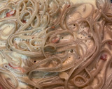 Foto del paso 5 de la receta: Carbonara 🥓