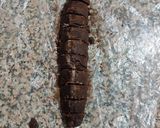 A picture of step 9 of Chocolate Pin wheel Rolls.
