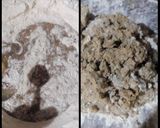 Foto del paso 5 de la receta: Pan Lactal de Centeno