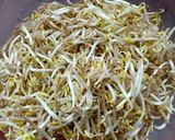 Foto langkah ke 1 dari resep 1002. Oseng Sayur Pelangi, Praktis & Ekonomis 👍😋.