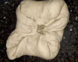 Foto del paso 5 de la receta: Pancitos Saborizados