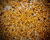 Foto del paso 2 de la receta: Garbanzos tostados con chocolate negro