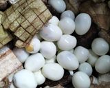 Foto langkah ke 3 dari resep 16. Gudeg Nangka Telor.