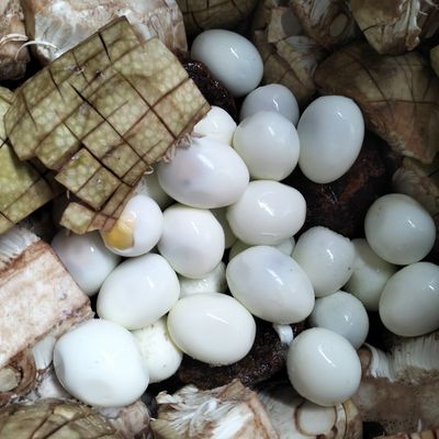 Langkah 3