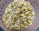 मिक्स स्प्राऊट सॅलड (mix sprouts salad recipe in marathi) रेसिपी स्टेप 1 फोटो
