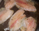 Foto del paso 6 de la receta: Filete de Tilapia en salsa de champiñones
