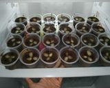 Foto langkah ke 6 dari resep Puding Brownies.