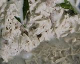 Foto langkah ke 6 dari resep 398. Isian Ayam untuk Lemper.