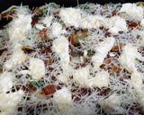 Foto del paso 5 de la receta: Conchiglioni ripieni (fideos rellenos)