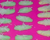 Foto langkah ke 4 dari resep Kue Susu Tepung Beras Tanpa Oven 🍪.