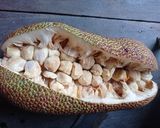 Foto langkah ke 1 dari resep Sanggar Tiwadak (Cempedak).