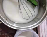 Foto langkah ke 2 dari resep Puding Semangka.