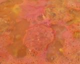 Foto del paso 5 de la receta: Tortitas de pollo deshebrado en salsa de jitomate 🍲💓