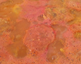 Foto del paso 5 de la receta: Tortitas de pollo deshebrado en salsa de jitomate 🍲💓