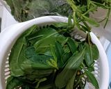 Foto langkah ke 1 dari resep Tumis Daun Ginseng.
