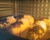 Foto langkah ke 3 dari resep Banana Roll Pastry.