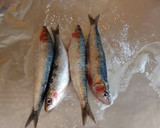 Foto del paso 1 de la receta: Sardinas a la plancha en papillote