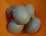 Foto langkah ke 1 dari resep Telor Ceplok Saus Tiram.
