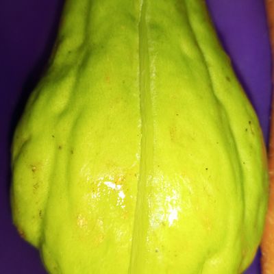Langkah 1