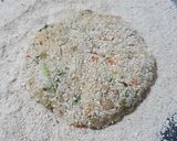 Foto del paso 2 de la receta: 🍚🥦🥕 Milanesas de arroz y vegetales 🍚 🥦🥕