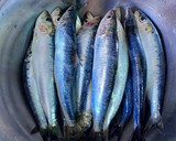 Foto del paso 3 de la receta: Sardinas al horno con verduras asadas en los mismos jugos