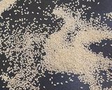 Hình bước làm 2 của món Ruốc nấm hương, rong biển