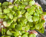 Foto del paso 2 de la receta: Solterito arequipeño