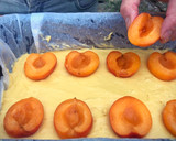 Foto del paso 6 de la receta: Torta de albaricoques fácil