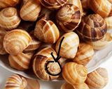 A picture of step 1 of Beurre blanc escargot.