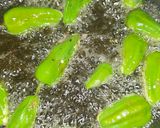 Foto del paso 4 de la receta: Pimiento de padrón adobados con boquerones