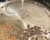 A picture of step 1 of Cabbage poriyal.