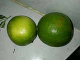 Tipili
