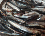 Foto del paso 1 de la receta: Boquerones fritos frescos