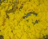 A picture of step 5 of Egg Jorda.