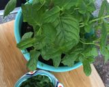 A picture of step 2 of Za’atar salad (can be vegan).
