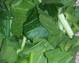 Foto langkah ke 1 dari resep Tumis Sawi Hijau & Tahu Saos Tiram.