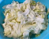 台式泡菜（高麗菜泡菜）的食譜步驟1照片