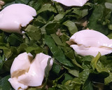Foto del paso 4 de la receta: Acelgas cremosas al horno con papines al vapor