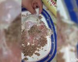 صورة لخطوة 3 من وصفة حمام كداب بالدجاج