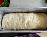A picture of step 4 of Bread loaf (80APF+20WWF).