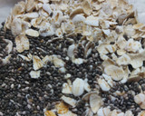 Foto del paso 1 de la receta: Pudin de chía y avena
