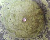A picture of step 5 of Green Peas Kheer.